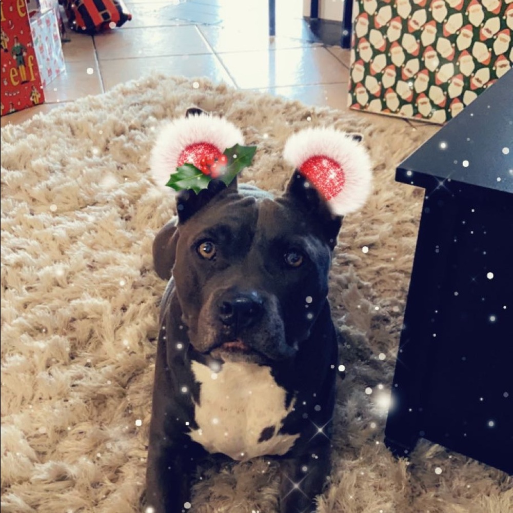 Meet your Posher, Elisha